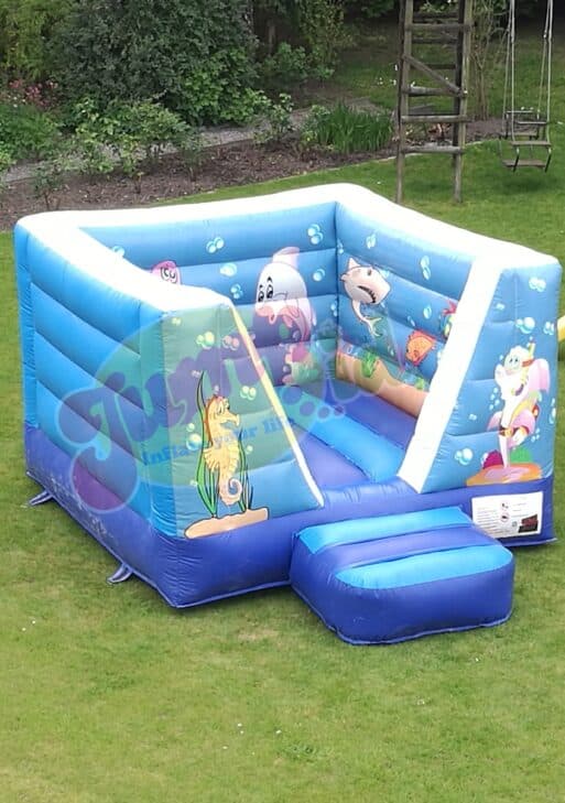 Château gonflable poisson 3 x 3 x 2M livré, installé