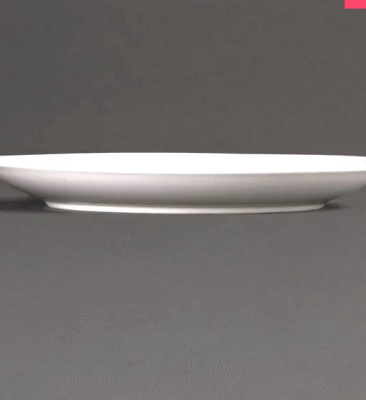 Assiette 25cm PREMIUM