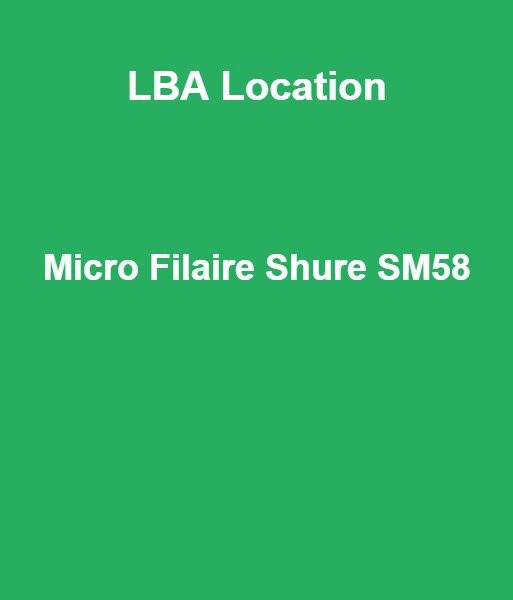 Location Micro Filaire Shure SM58 - Fleurus, Hainaut & Brabant Wallon