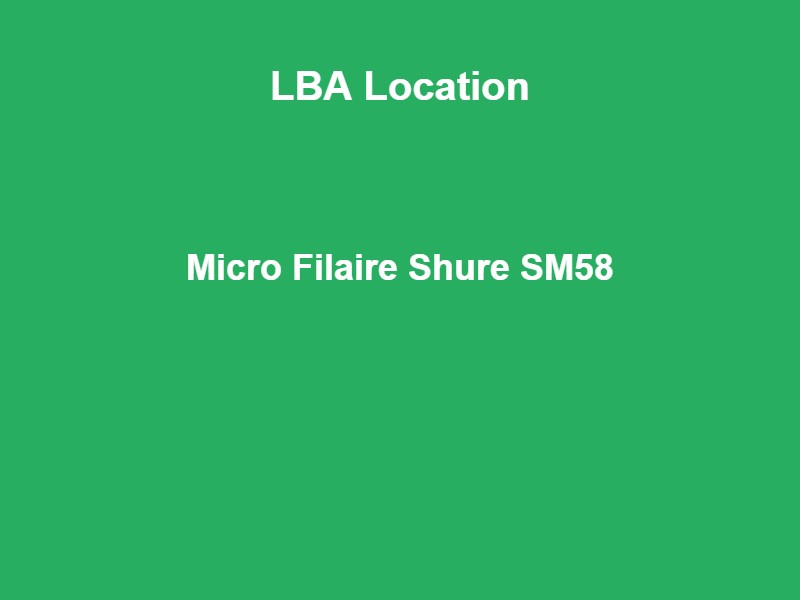 Location Micro Filaire Shure SM58 - Fleurus, Hainaut & Brabant Wallon