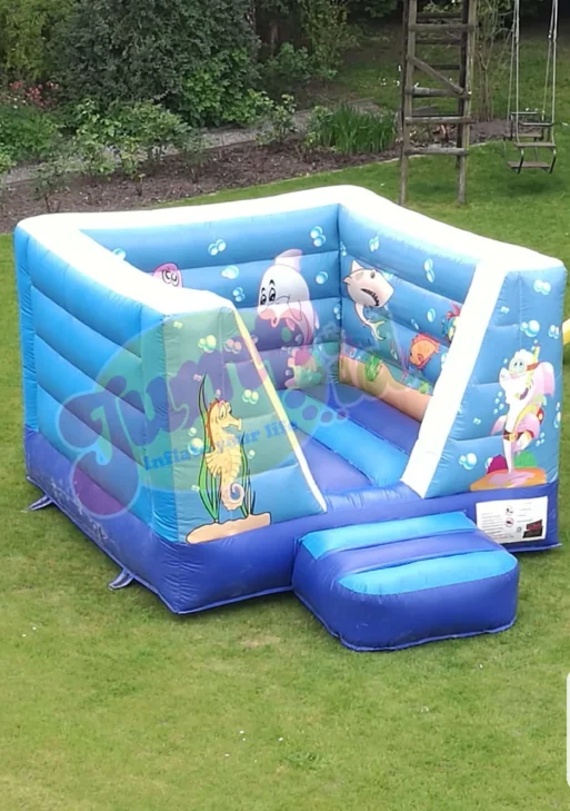 Château gonflable poisson 3 x 3 x 2M livré, installé