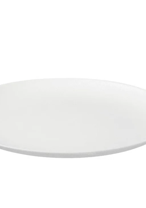 Assiette 25 cm basic